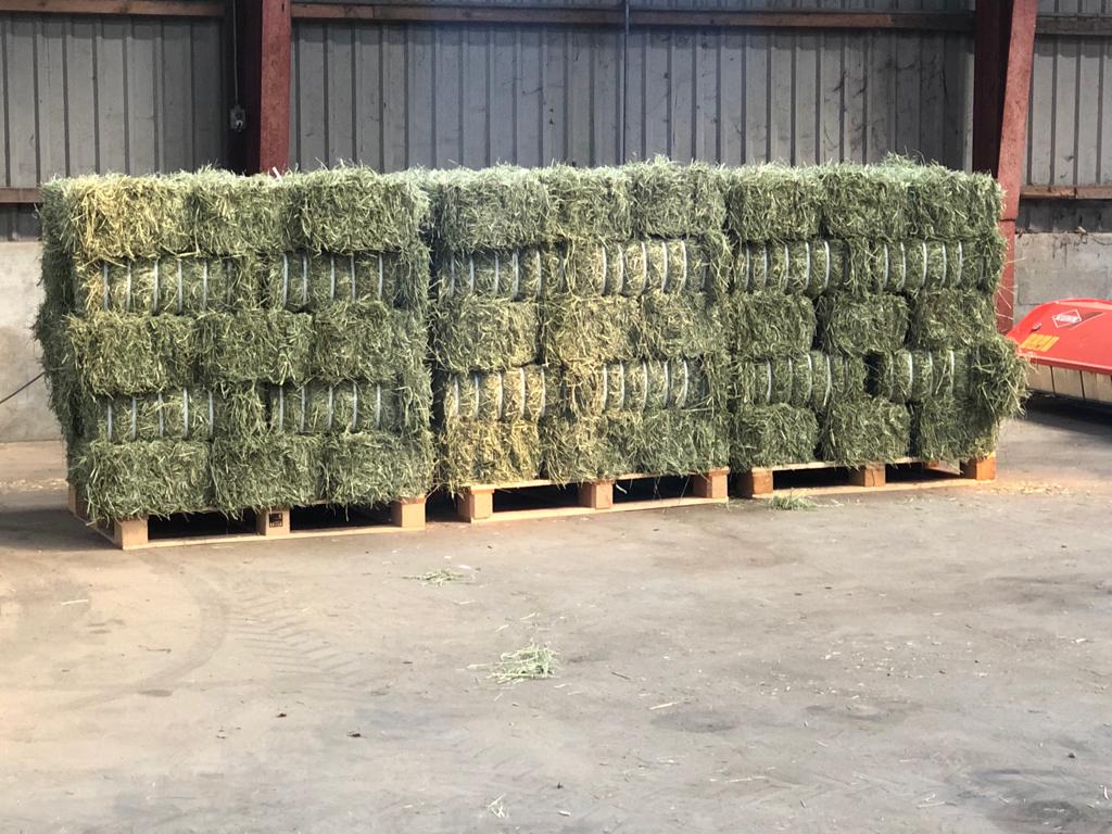 rebaled bales of strapped hay 20kg